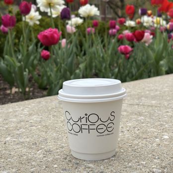 Curious Coffee - Curious Coffee branded to-go cup - Coffee & Tea Near Me - Ann Arbor, Michigan