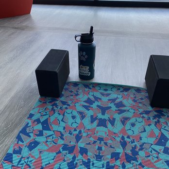 Bulldog Yoga - Yoga Near Me - Malvern, Pennsylvania Bulldog Yoga - Yoga Near Me - Malvern, Pennsylvania