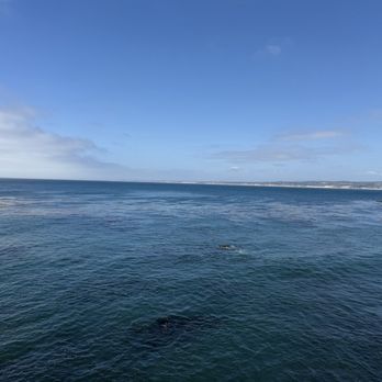 Monterey Bay Aquarium - Views of outside - Aquariums Near Me - Monterey, California