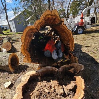 Total Tree Service - Tree Services Near Me - Pontiac, Illinois