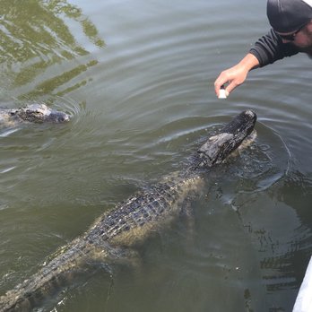 Airboat Adventures - Boat Tours Near Me - Lafitte, Louisiana Airboat Adventures - Boat Tours Near Me - Lafitte, Louisiana