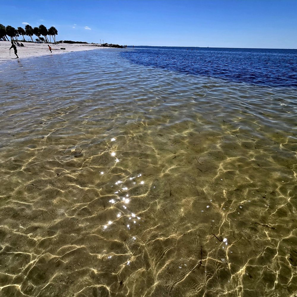 Fred Howard Park - Fred Howard Beach - Parks Near Me - Tarpon Springs, Florida Fred Howard Park - Fred Howard Beach - Parks Near Me - Tarpon Springs, Florida