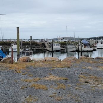Spud Point Marina - Love boat pictures - Marinas Near Me - Bodega Bay, California Spud Point Marina - Love boat pictures - Marinas Near Me - Bodega Bay, California