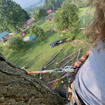 Virginia Tree Care - Tree Services Near Me Virginia Tree Care - Tree Services Near Me