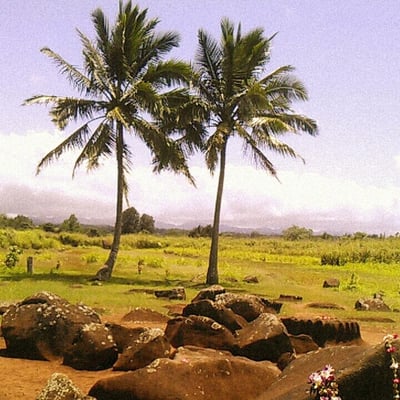Kukaniloko Birth Stones by null
