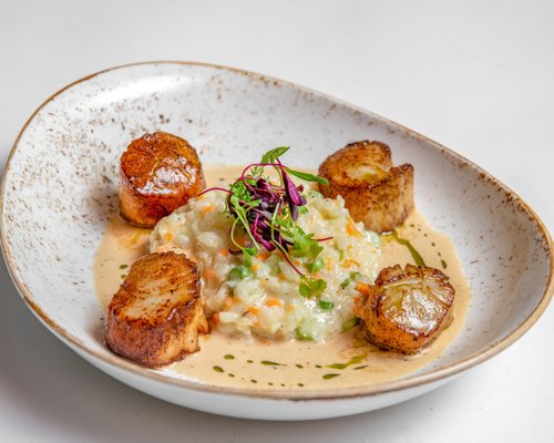 The Blue Dog by null