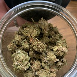 Brown Moldy Stale Buds.