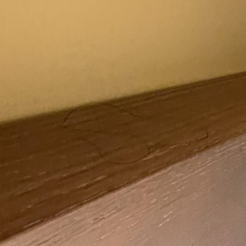 The Wayfarer San Diego - Someone's hair on bed head board - San Diego, CA