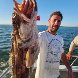 Golden Eye 2000 Sport Fishing