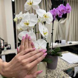 Champere Nail Bar