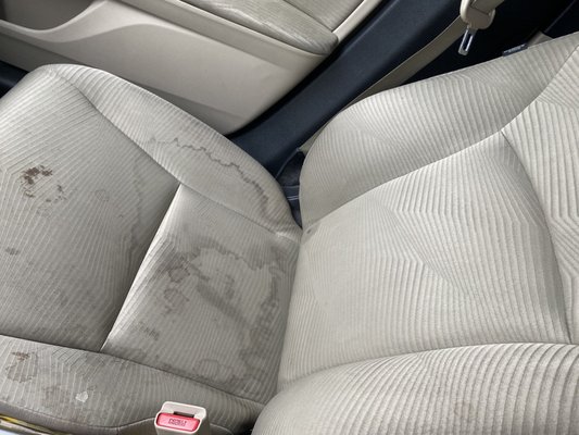 WILL’S MOBILE DETAIL & CAR WASH - Updated March 2025 - 51 Photos & 34