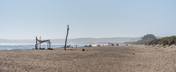 Limantour Beach by null