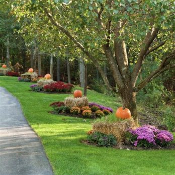 Elevate Home Repair - My landscape architecture is pristine! Their attention to detail is unmatched. - Drywall Installation & Repair Near Me