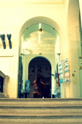 Civic Museum of Natural Sciences in Bergamo by null