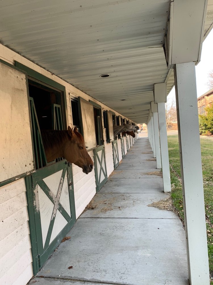 Grosse Pointe Equestrian - equestrian in Grosse Pointe, MI