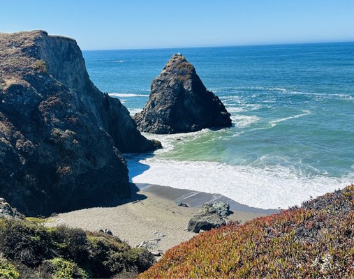 Sonoma Coast State Park by null