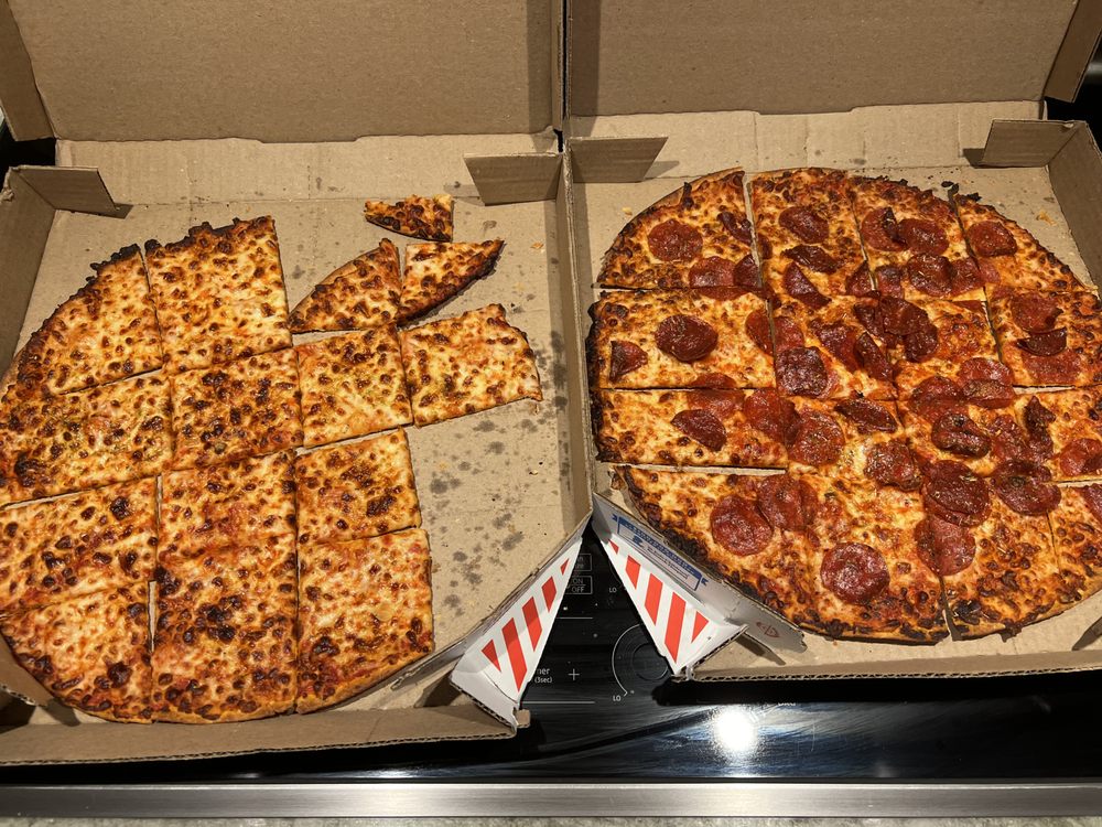 Domino's Pizza Logo