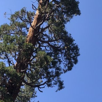 Buckhorn Campground - Campgrounds Near Me - Arcadia, California