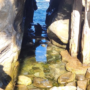 La Jolla Cove - Parks Near Me - La Jolla, California La Jolla Cove - Parks Near Me - La Jolla, California