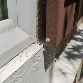 North County Pest Management - Pest Control Near Me North County Pest Management - Pest Control Near Me
