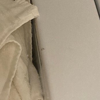 Westview at Irvine Spectrum - Ants in the laundry room imbedded in my clothing - Apartments Near Me - Irvine, California