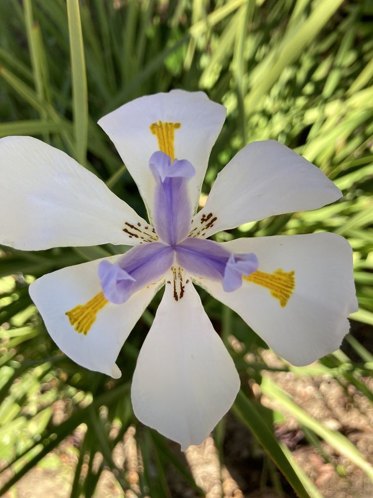 Alert Driving - grief counselor in San Jose, CA