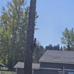 She Cuts It Tree Service