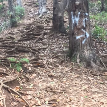 Waimano Loop Trail - WF SIGN first and last veering to the right all left from here - Hiking Near Me - Pearl City, Hawaii