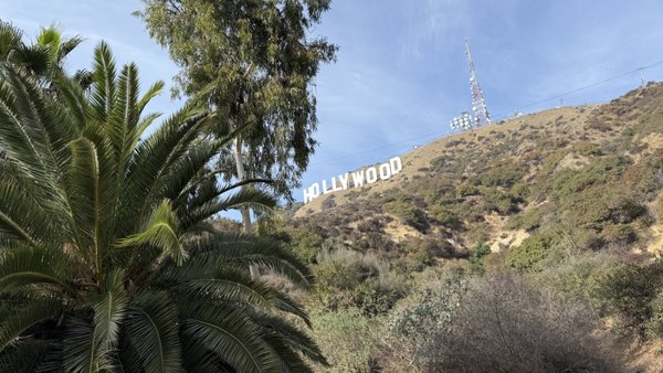 Hollywood Sign by null