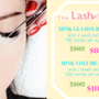 Photo of The LASH Place