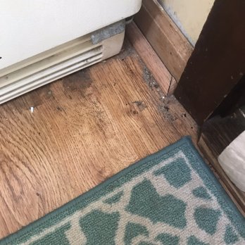 Radiant Cleaning Service - This was our floor after the deep cleaning. - Home Cleaning Near Me - Freehold Township, New Jersey Radiant Cleaning Service - This was our floor after the deep cleaning. - Home Cleaning Near Me - Freehold Township, New Jersey