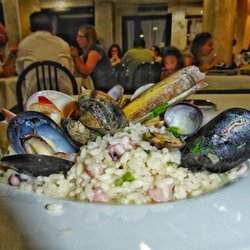 Pinguino 83 - Risotto alla pescatora