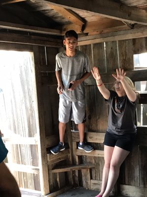 Cosmos Mystery Area by null