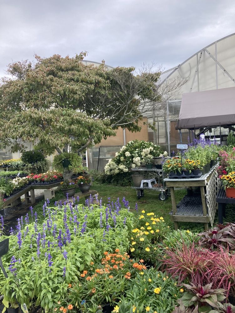 MOORE BLOOMS Updated June 2024 28 Photos 577 Green End Ave