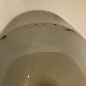 The Viv Hotel - Toilet got glugged many times, and we had to call someone to come. This was very inconvenient - Hotels Near Me - Anaheim, California The Viv Hotel - Toilet got glugged many times, and we had to call someone to come. This was very inconvenient - Hotels Near Me - Anaheim, California
