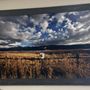Photo of Wild Coyote Gallery