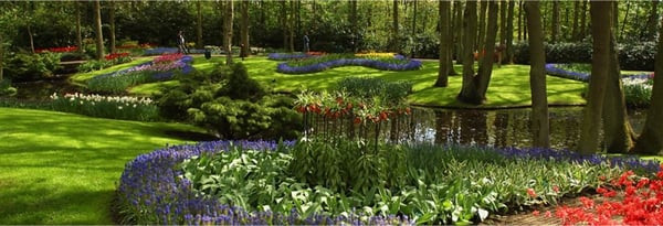 C Nichols Landscaping