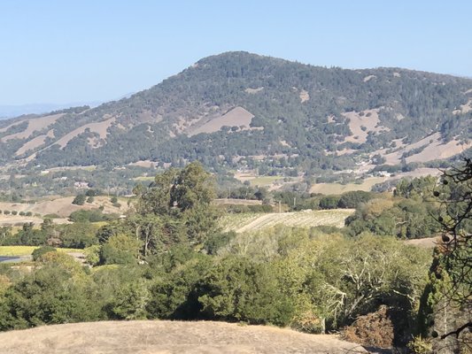 North Sonoma Mountain Regional Park by null
