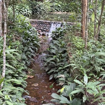 Parque Nacional da Tijuca - Parks Near Me - Rio de Janeiro, RJ Parque Nacional da Tijuca - Parks Near Me - Rio de Janeiro, RJ