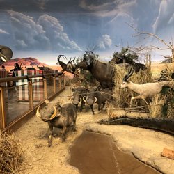 Cabela's