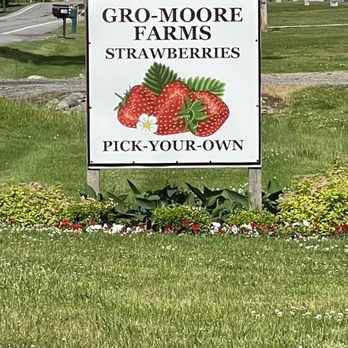 Gro-Moore Farms - Pick Your Own Farms Near Me - Rush, New York