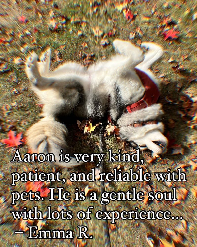 Aarons Dog Walking and Adventures - pet boarding facility in Portland, ME