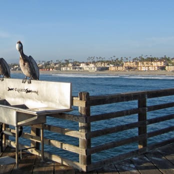 Oceanside Pier - Pelicans enjoys helping the fishermen - Venues & Event Spaces Near Me - Oceanside, California