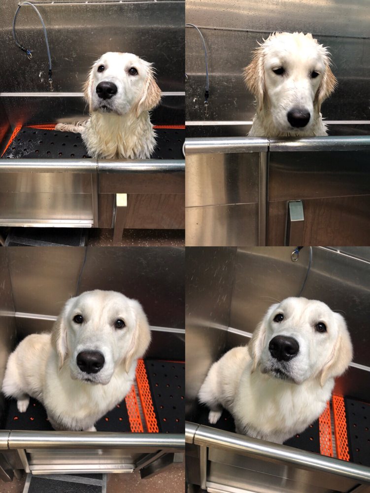 PREMIER PET SUPPLY 45 Photos & 87 Reviews Pet Stores 31215