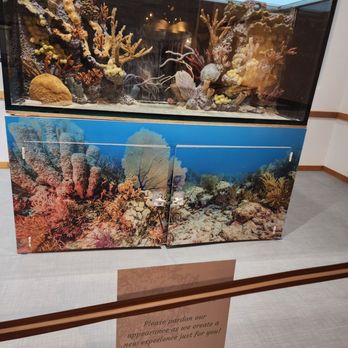 Anne Kolb Nature Center - Parks Near Me - Hollywood, Florida