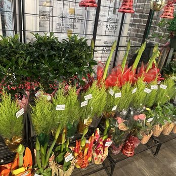 H Mart - Jericho - Grocery Near Me - Jericho, New York