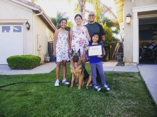 Temecula Dog Training! - Temecula Dog Training!
Basic & Advanced Obedience Training
Puppy Training & Off Leash Training
Training With Destractions
In-Home Manners
Reactivity & Aggression Training
Destructiveness & Chewing Elimination
Behavioral Modification
Service & Protection Dog Training
Your Perfectly Behaved Dog Starts With Just One Phone Call
Dog Training- Dog Boarding - Dog Grooming- Dog Daycare
CALL NOW: (951)389-0097 Temecula Dog Training! - Temecula Dog Training!
Basic & Advanced Obedience Training
Puppy Training & Off Leash Training
Training With Destractions
In-Home Manners
Reactivity & Aggression Training
Destructiveness & Chewing Elimination
Behavioral Modification
Service & Protection Dog Training
Your Perfectly Behaved Dog Starts With Just One Phone Call
Dog Training- Dog Boarding - Dog Grooming- Dog Daycare
CALL NOW: (951)389-0097