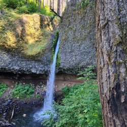 Oneonta Trail