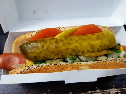 America's Dog by null