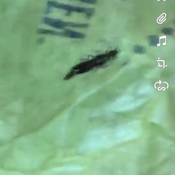 McDonald's - a fish swimming in a pool - Burgers Near Me - Everett, Washington
